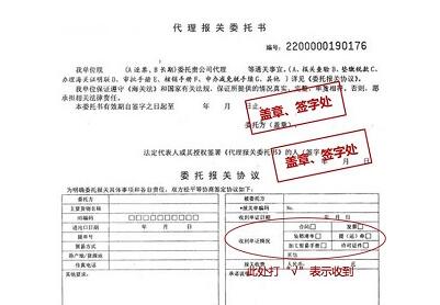 代理报关委托书填写样本