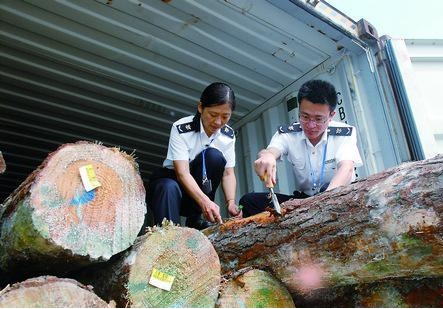 木材进口报关海关开箱查验