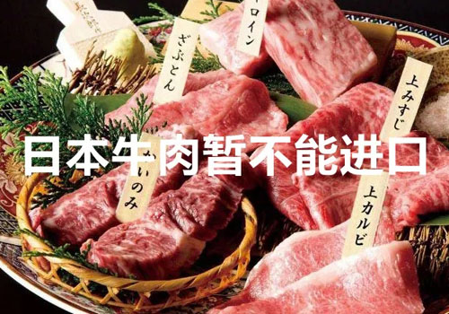 日本牛肉不能进口